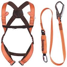 Delta Plus Elara 190 scaffolders harness kit